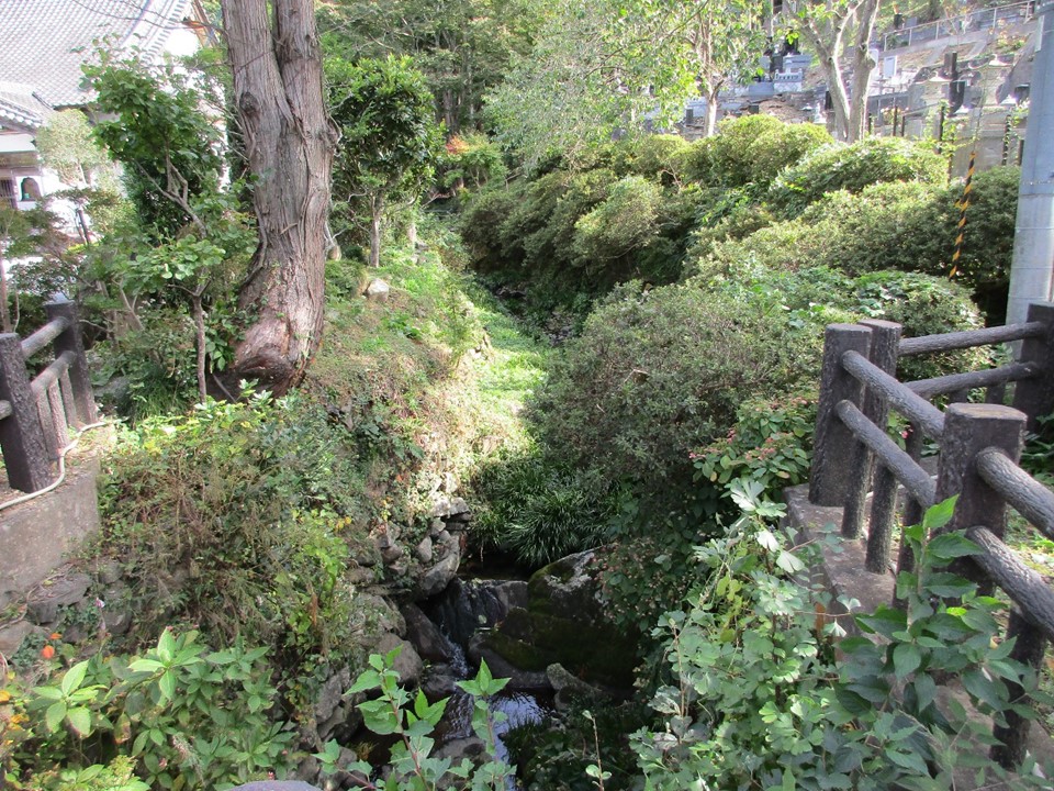 の画像
