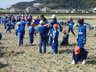 CIMG2148.JPGの画像