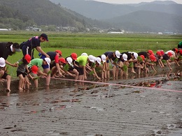 DSC02865.JPGの画像