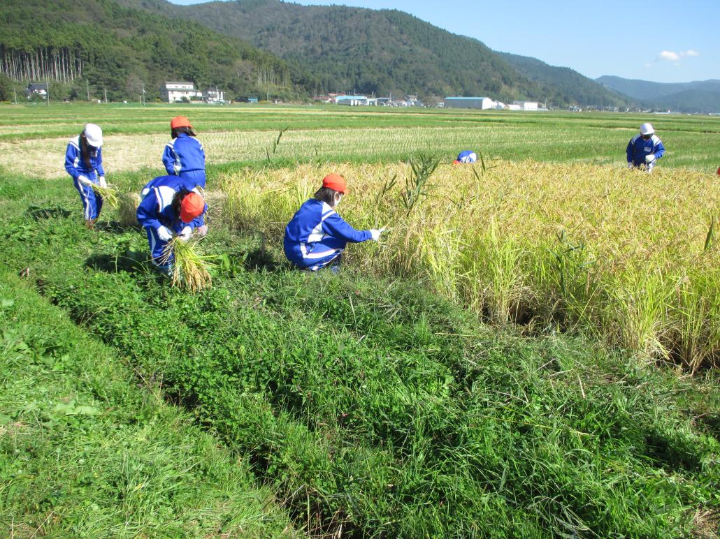 の画像