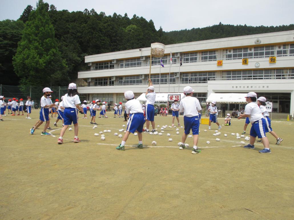 の画像