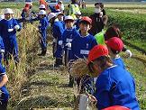 DSC01246.JPGの画像