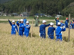 zennkouinekari1の画像
