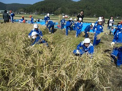 zennkouinekari2の画像