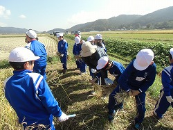 zennkouinekari3の画像