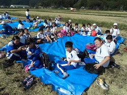 zennkouinekari5の画像