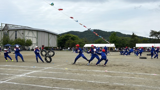 IMG_0798.jpg