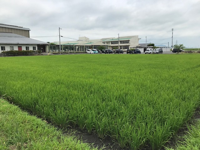 大谷地小田園２０２３年５月