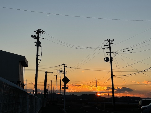 IMG_5595.JPG