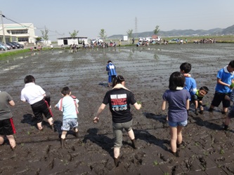 田植え01の画像