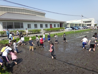 田植え03の画像