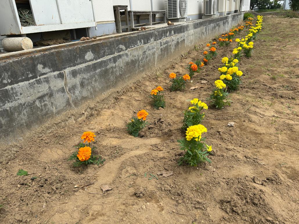 花植え２