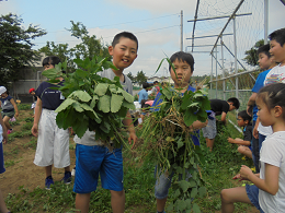 mite.pngの画像