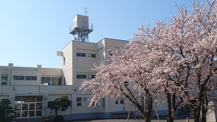 応援する桜の画像