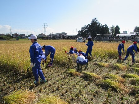 秋の田んぼの画像