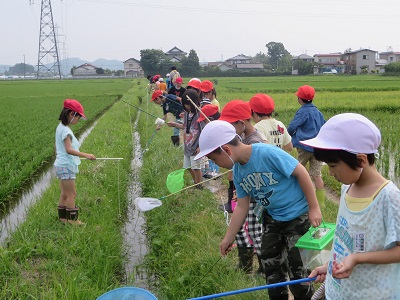 ざりがには釣れるかなの画像