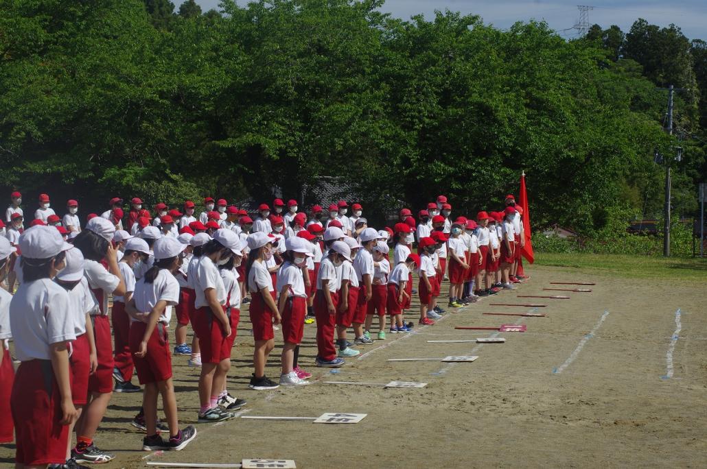 IMGP9494.jpg