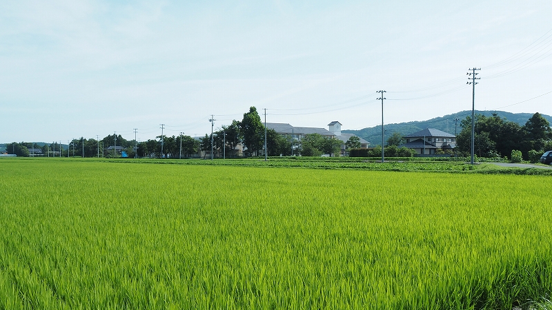 学校の概要_校舎周辺