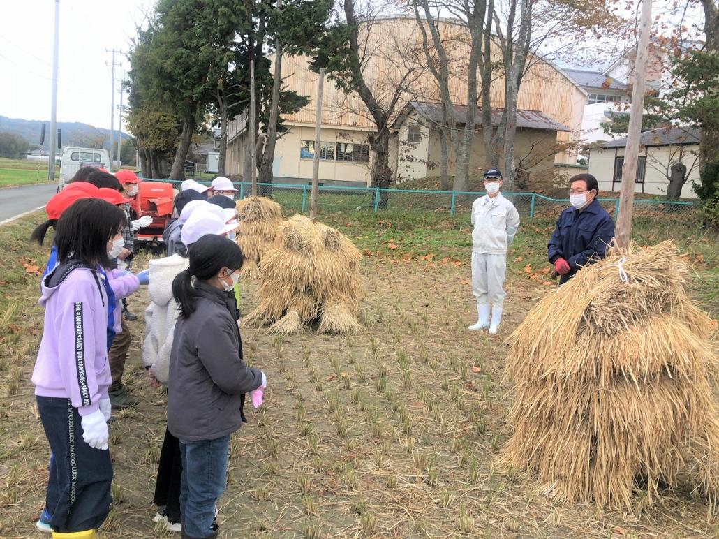 の画像