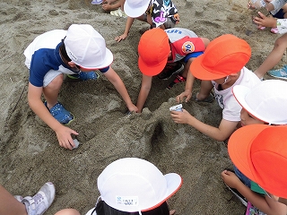 img186_P1030195.jpgの画像