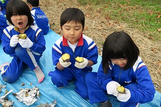 H30_yakiimo09.jpgの画像