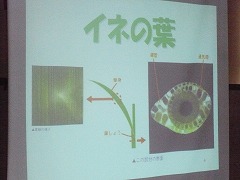 img30_IMG_5515.jpgの画像