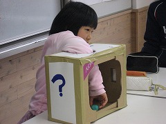 img282_IMG_6945.jpgの画像