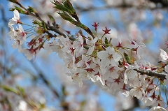 img152_P1030893.jpgの画像