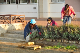 img1355_DSC02262.jpgの画像