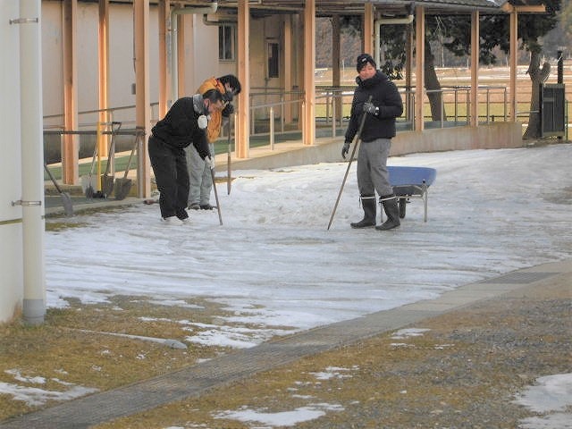 の画像