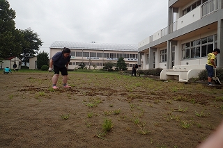 img738_file.jpgの画像