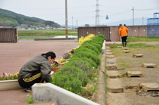 img738_file.jpgの画像