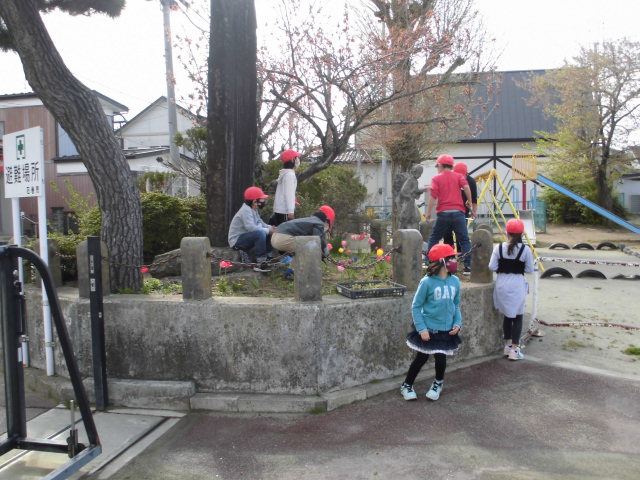 の画像