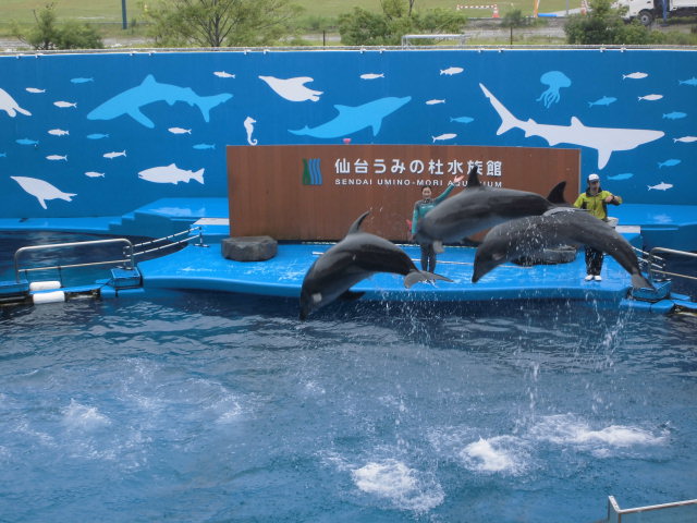 の画像