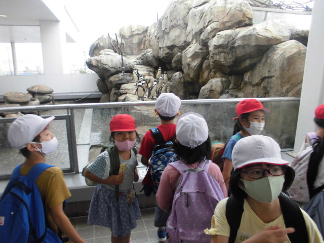 の画像