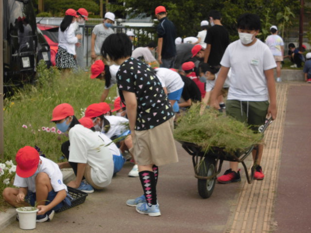 の画像