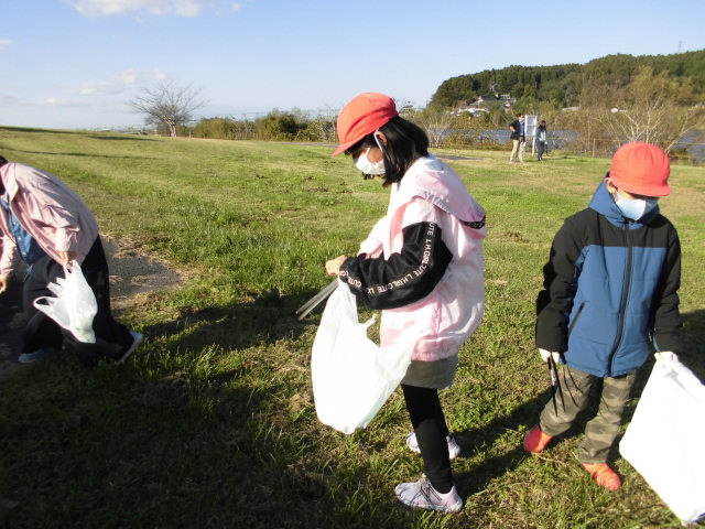 の画像