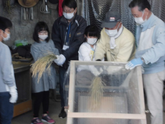 の画像