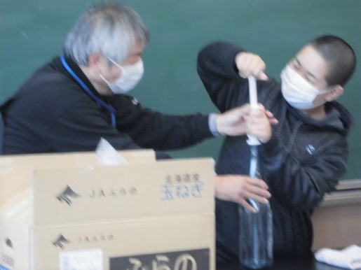 の画像
