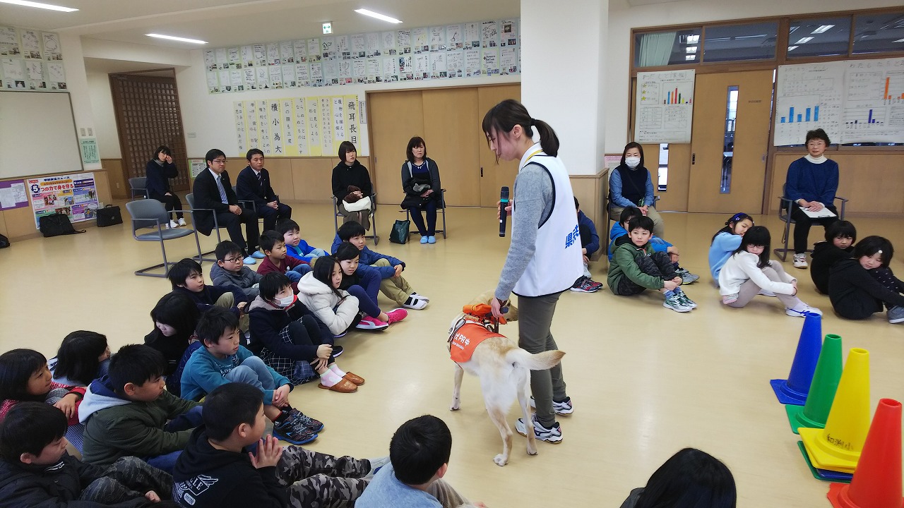 DSC_1862.jpgの画像