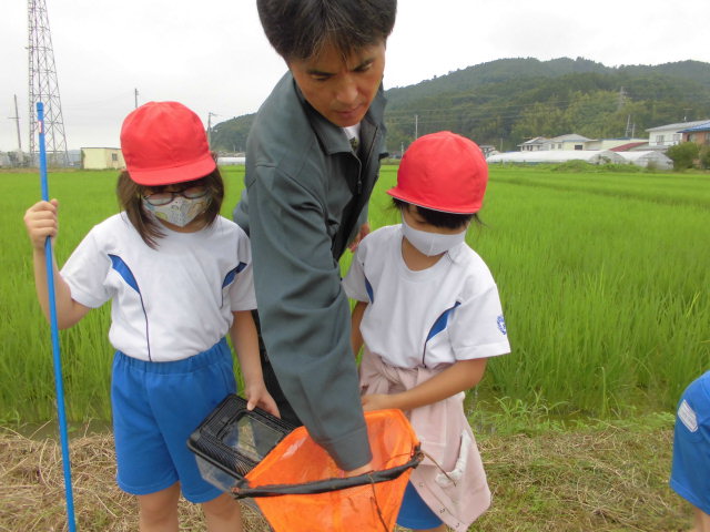 の画像