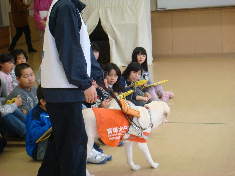 学習の様子2の画像