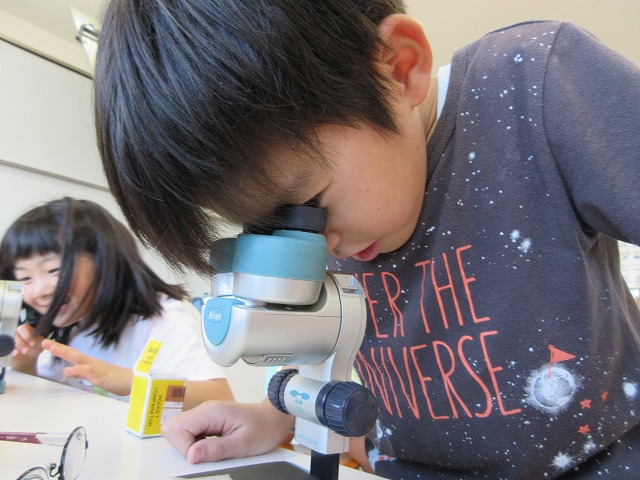 科学巡回の様子の画像