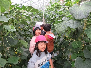 IMG_1032.jpgの画像
