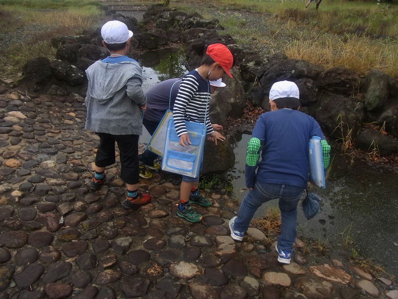 せせらぎ公園の画像