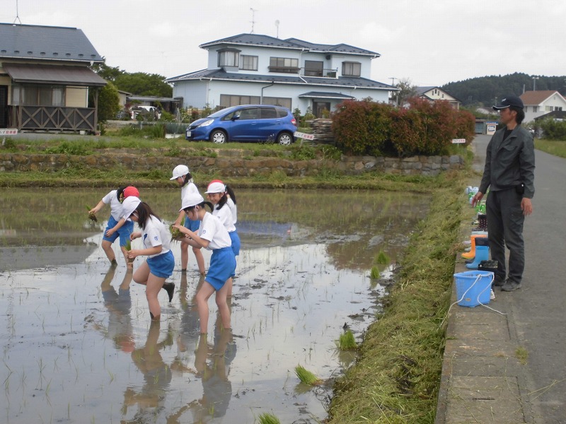 田植え体験の画像