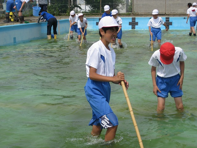 汚れをしっかりこすりますの画像