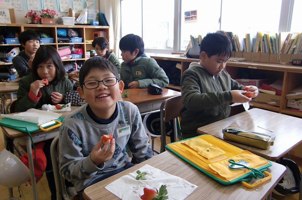 いちご農家見学の様子_6の画像