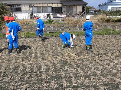 inekari3.jpgの画像