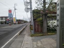 の画像